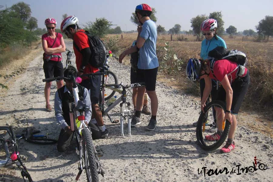 11 Days Rajasthan Boutique Cycling Tour